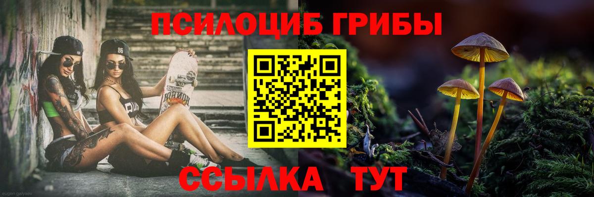 Псилоцибиновые грибы мицелий  Вход с VPN  Елабуга  Галлюциногенные грибы MAGIC MUSHROOMS 